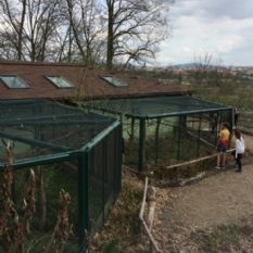 Oplotili jsme pavilon drápkatých opic v ZOO Plzeň