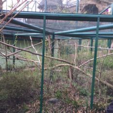Oplotili jsme pavilon drápkatých opic v ZOO Plzeň