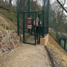 Oplotili jsme pavilon drápkatých opic v ZOO Plzeň