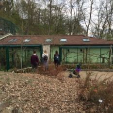 Oplotili jsme pavilon drápkatých opic v ZOO Plzeň