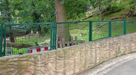 Úprava a navýšení oplocení pro expozici Takina čínského v ZOO Plzeň