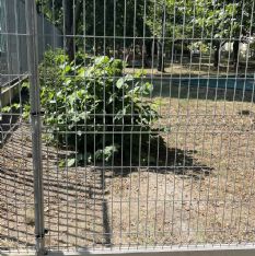 Bezpečné oplocení MŠ Plzeň s 3D panely a kvalitními bránami na míru