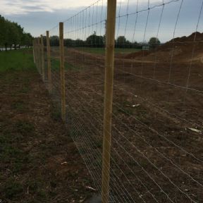 Uzlové oplocení Zn 180 cm Bywark (lesnické)