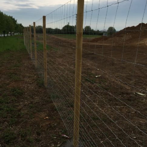 Uzlové oplocení Zn 180 cm Bywark (lesnické)