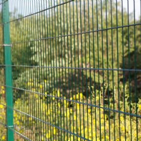 Panel 2D Pallas Zn,PE 1430 mm, zelený