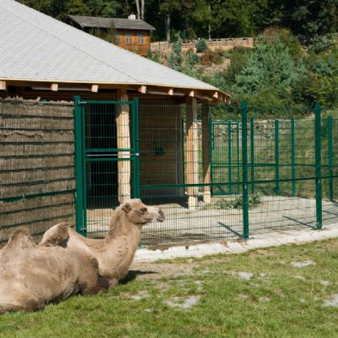 Panel 2D Pallas Zn,PE 2230 mm, zelený