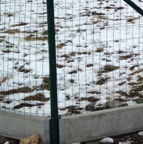 Držák plotové desky Zn 200 mm koncový