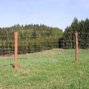 Lesnická a ohradová pletiva